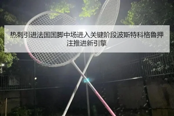 热刺引进法国国脚中场进入关键阶段波斯特科格鲁押注推进新引擎